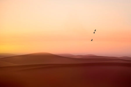 Wie ein Traum aus 1001 Nacht – Kapitel 8